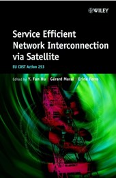 Service Efficient Network Interconnection via Satellite