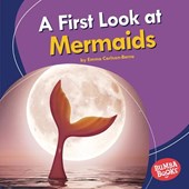 A First Look at Mermaids