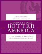 A Budget for America's Future