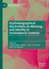 Psychobiographical Illustrations on Meaning and Identity in Sociocultural Contexts