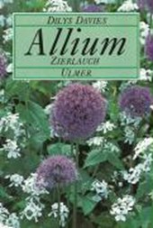 Allium, Zierlauch