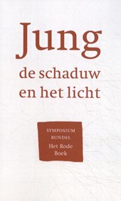 Jung, de schaduw en het licht