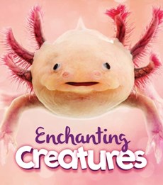 Enchanting Creatures